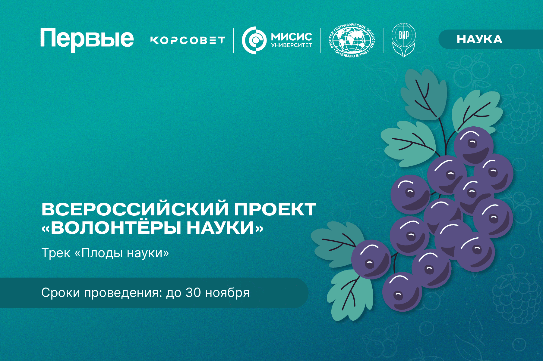 Всероссийский проект «Волонтеры науки», трек «Плоды науки»