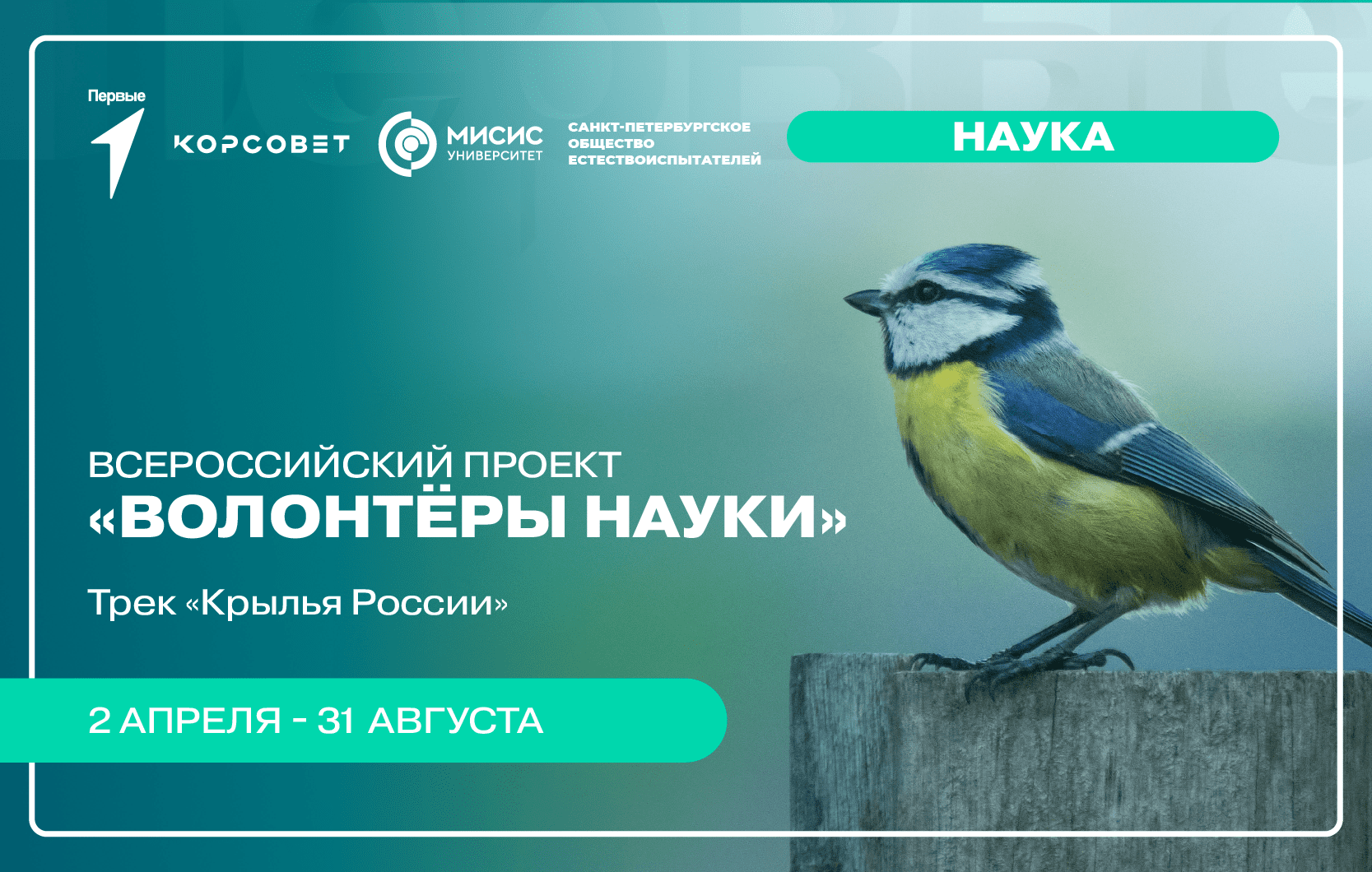 Всероссийский проект «Волонтеры науки», трек «Крылья России»